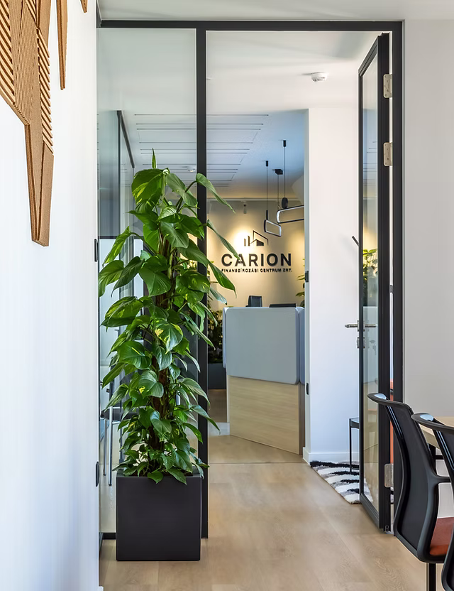 Carion és PeakX együttműködés